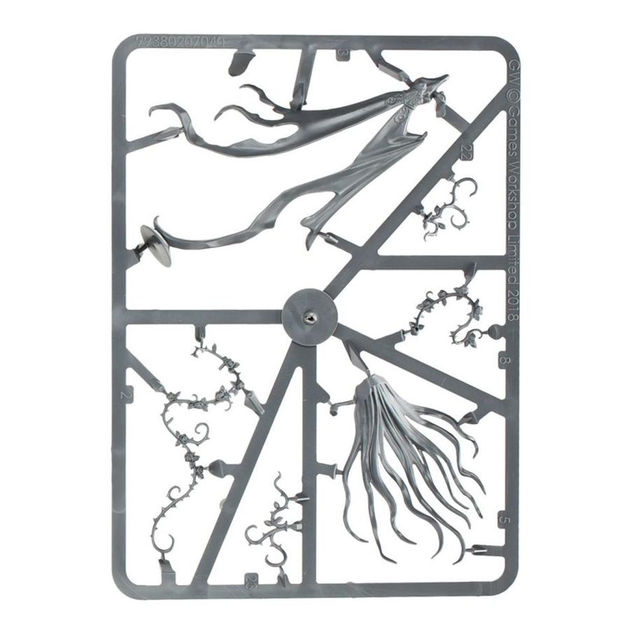 ウォーハンマー エイジ・オヴ・シグマー ナイトホーント： 