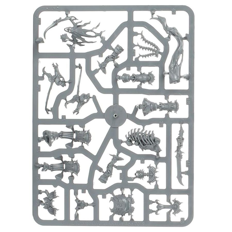 ウォーハンマー オシアーク・ボーンリーパー アーチカヴァロス