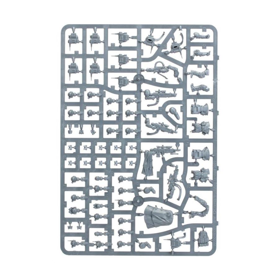 ウォーハンマー 40000 アストラ・ミリタルム：カサーキン WARHAMMER 40k ASTRA MILITARUM：KASRKIN 47-04 | ブランド登録なし | 10