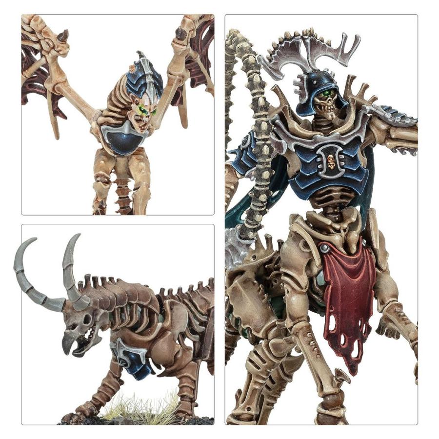 ウォーハンマー エイジ・オヴ・シグマー AoS スピアヘッド オシアーク・ボーンリーパー：カヴァロス先鋒隊 WARHAMMER AGE OF SIGMAR 70-943 | ブランド登録なし | 09