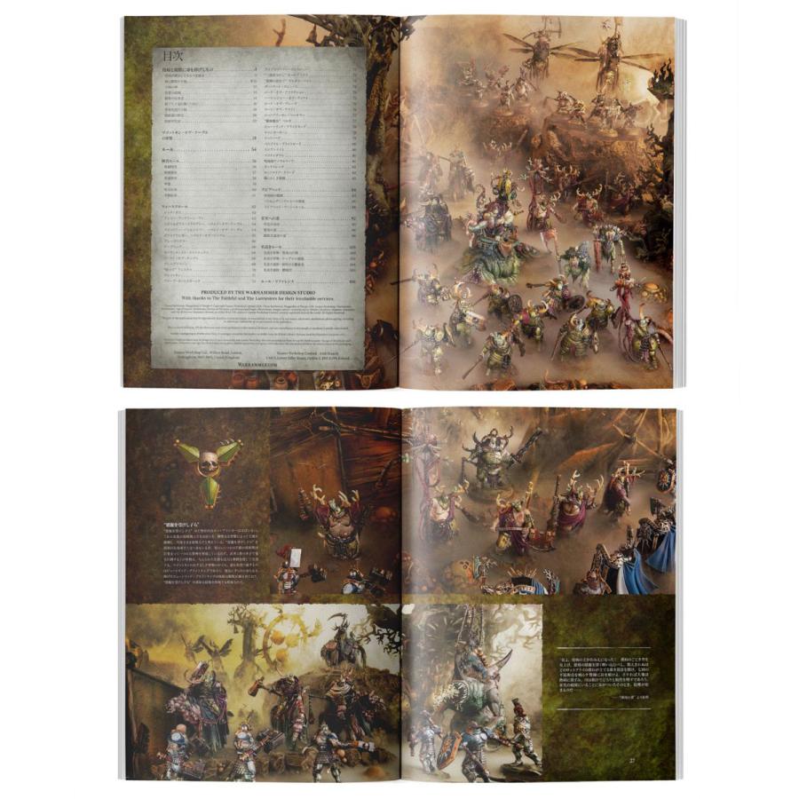 ウォーハンマー エイジ・オヴ・シグマー AoS バトルトーム：マゴットキン・オヴ・ナーグル（日本語版）　WARHAMMER AGE OF SIGMAR wh83-58 | ブランド登録なし | 04