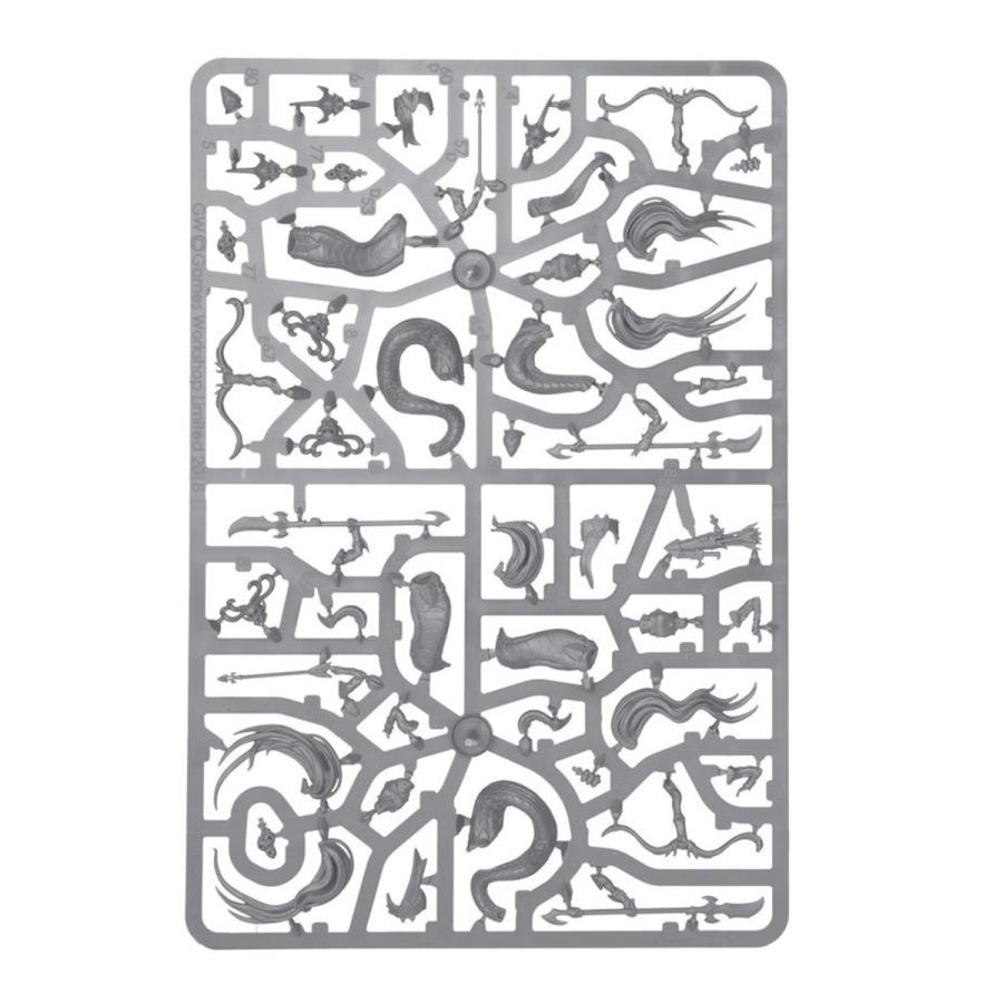 ウォーハンマー エイジ・オヴ・シグマー バトルフォース ドーター・オヴ・カイン：影生まれの魔女団 WARHAMMER AGE OF SIGMAR 85-67 | ブランド登録なし | 18