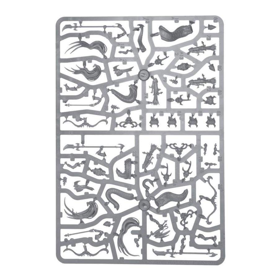 ウォーハンマー エイジ・オヴ・シグマー バトルフォース ドーター・オヴ・カイン：影生まれの魔女団 WARHAMMER AGE OF SIGMAR 85-67 | ブランド登録なし | 19