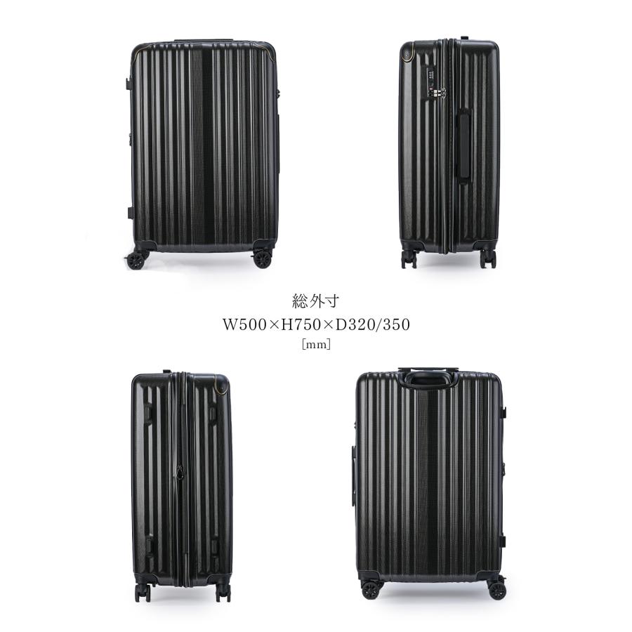 キャリーケース Lサイズ 100L 最大46% 10/24から ワイズリー スーツケース Lサイズ 92L/100L