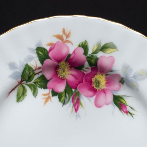 ロイヤル・アルバート プレイリーローズ 18cmプレート | Royal Albert | 01