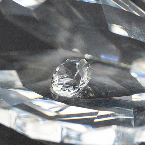 スワロフスキー パール貝（Sサイズ） | SWAROVSKI | 03