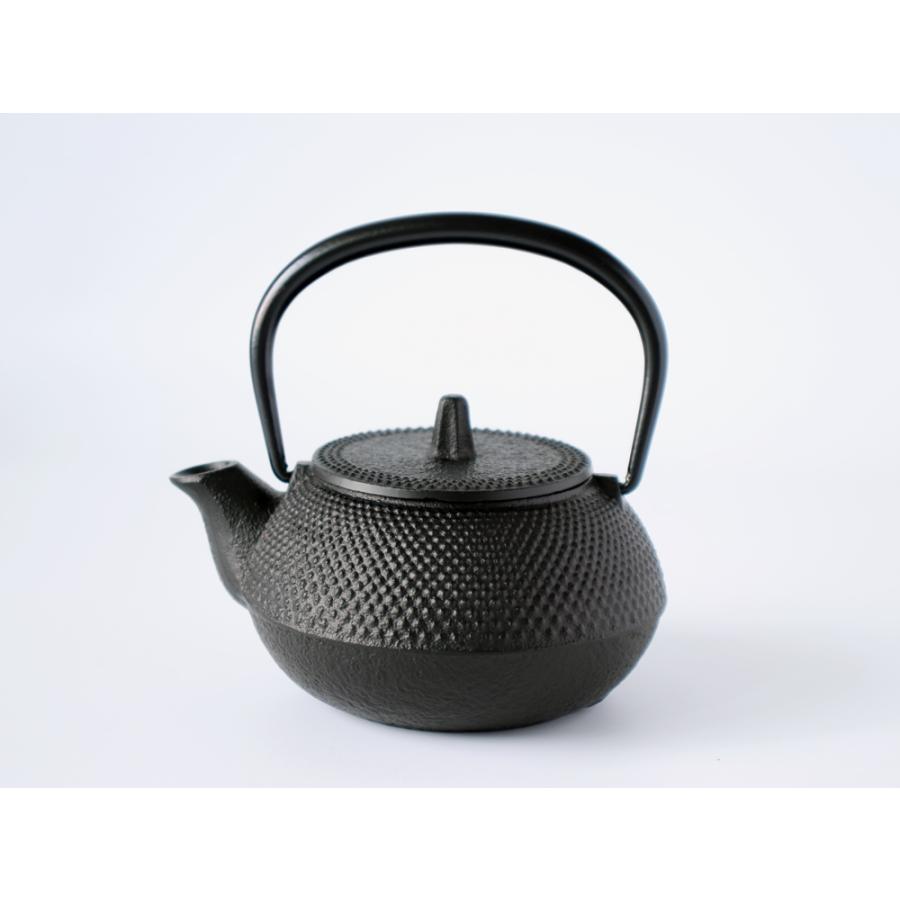 岩鋳（IWACHU） 鉄瓶兼用急須 新アラレ 320ml 茶こし付き いわちゅう