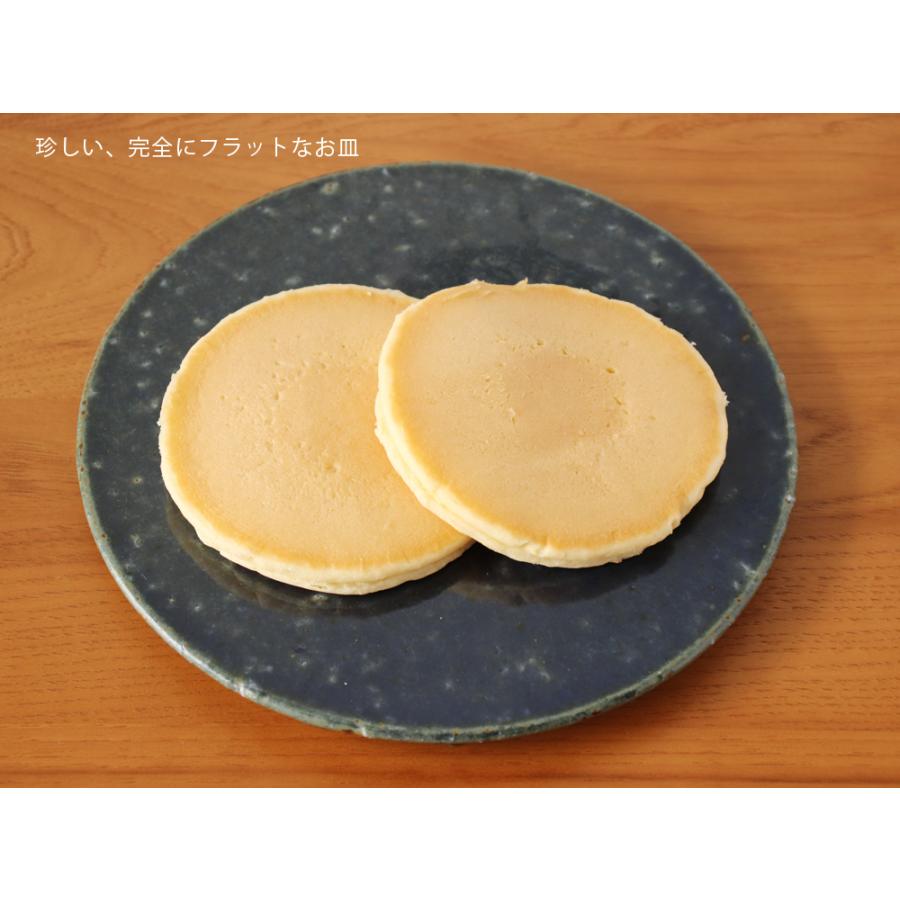 丸十製陶 22センチ 藍 フラットプレート 皿 22cm 信楽焼 陶器 : 雑貨の