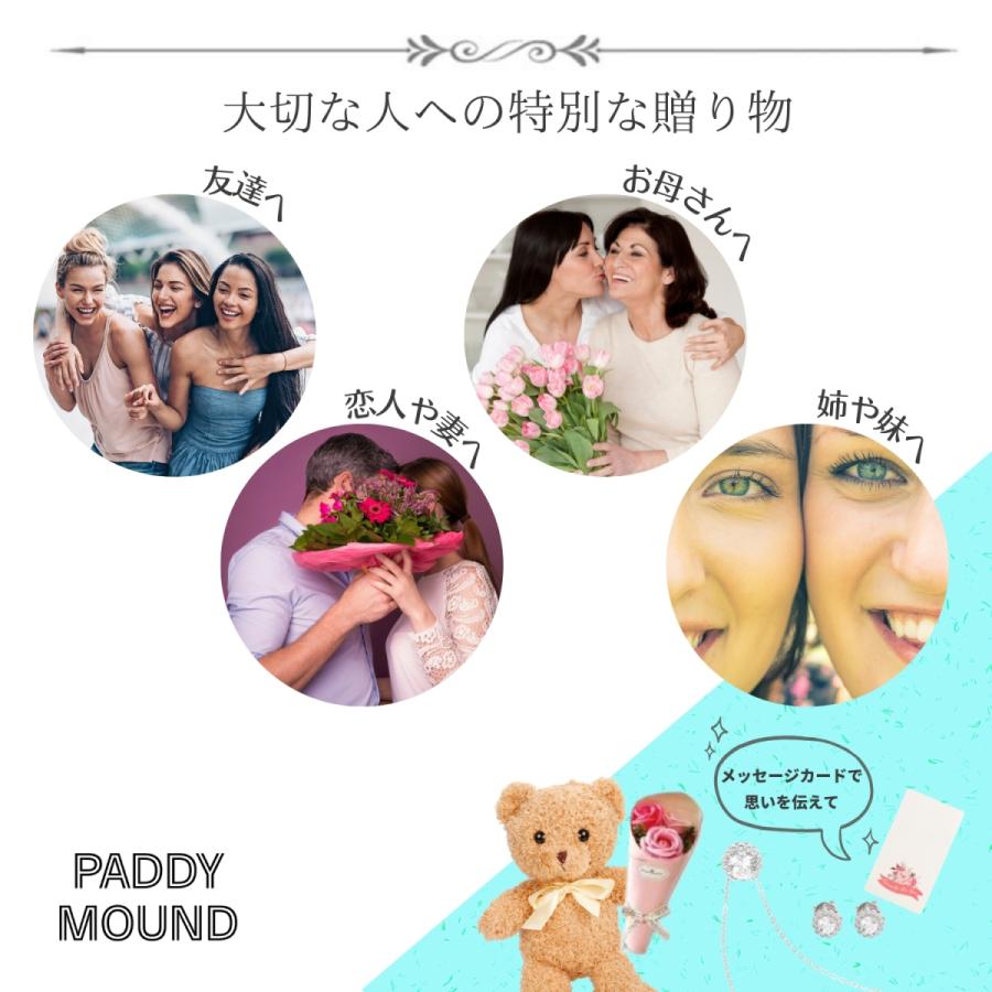 PADDY MOUND 高炭素 ダイヤモンド ネックレス ピアス レディース  