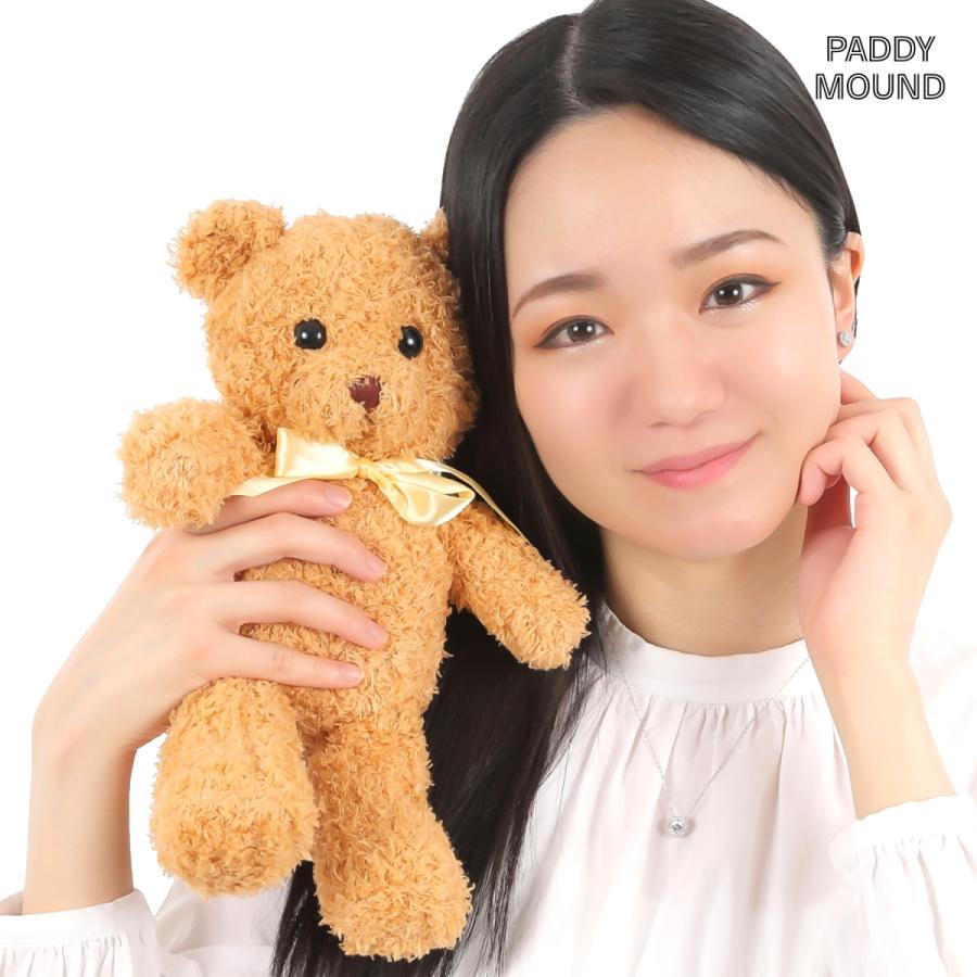 PADDY MOUND 高炭素 ダイヤモンド ネックレス ピアス レディース  