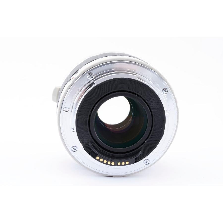 ケンコー Kenko 2x Teleplus Pro 300 C-AF テレコンバーター Canon EF