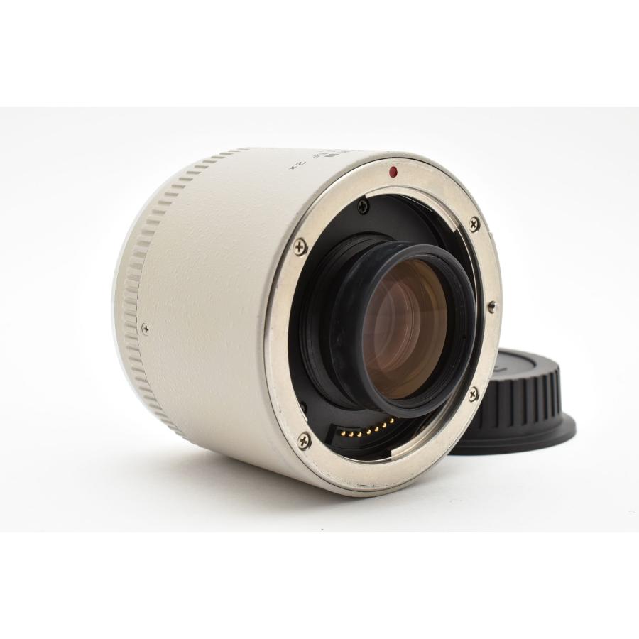 Canon RF 2×　エクステンダー　テレコンバーター Canon RF 2x Extender Teleconverter Review