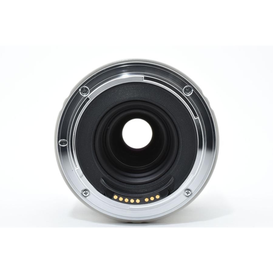 ケンコー KENKO 3X TELEPLUS PRO 300 C-AF テレコンバーター Canon EOS