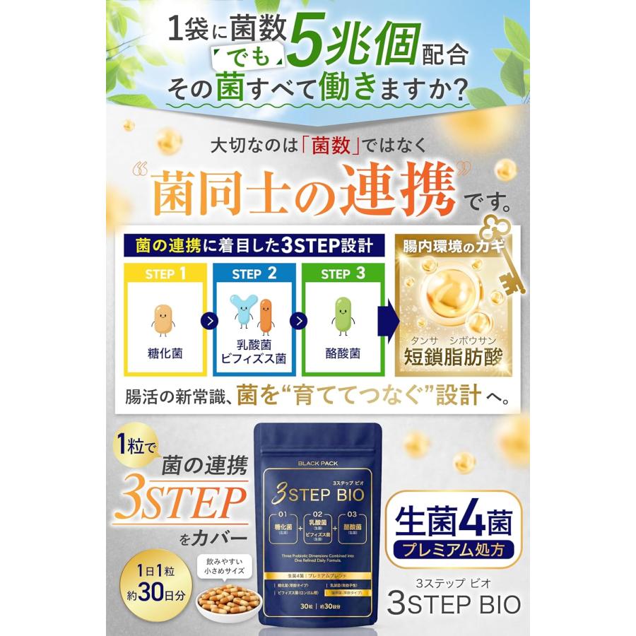 乳酸菌 酪酸菌 ビフィズス菌 糖化菌 サプリ 腸内環境 腸活 腸内 