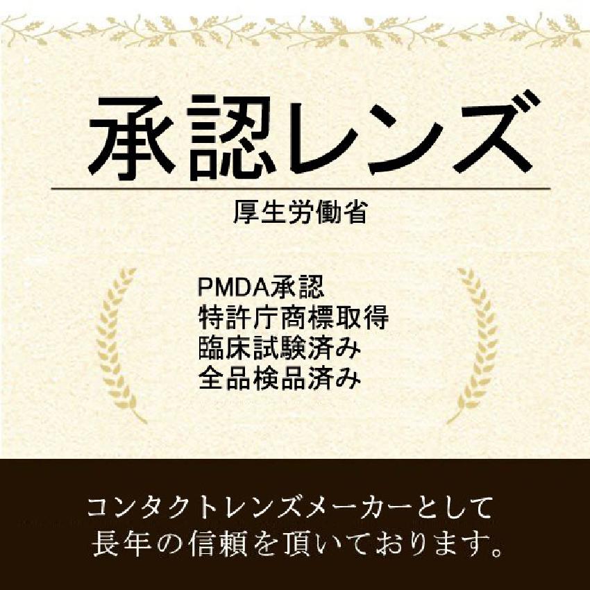 【アウトレット】 【2箱】  クリア コンタクトレンズ 1箱 30枚入 コンタクト レンズ 1DAY ヴェリタクリア ワンデー クリアレンズ 送料無料 即日配送 | verita | 12