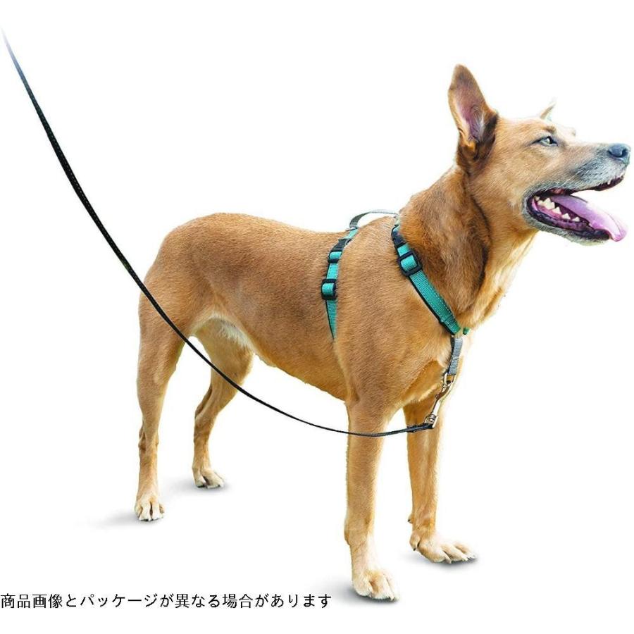即発送可能 Petsafe 3 In 1 犬 ハーネス 中型犬 引っ張り防止 調整簡単 抜けない 耐久性が高い 夜間反射 車の中で安全 ティール グリーン M 交換無料 Turningheadskennel Com