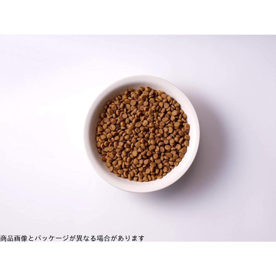 ソルビダ Sakuraのソルビダ グレインフリー チキン バス お風呂用品 室内飼育成犬用