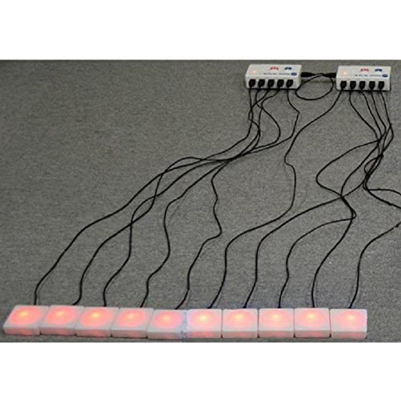 ⭐公式品⭐ スーパー早押しピンポンブー赤ボタン 10人用 129454 【2305839464】(13750円)