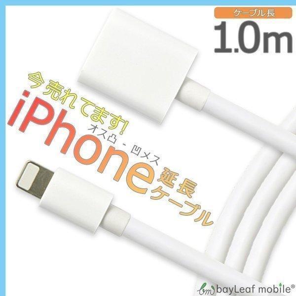 iPhone 延長 ケーブル iPad iPod 充電 データ 出力 転送 オス メス ホワイト 白 1.0ｍ |  | 01