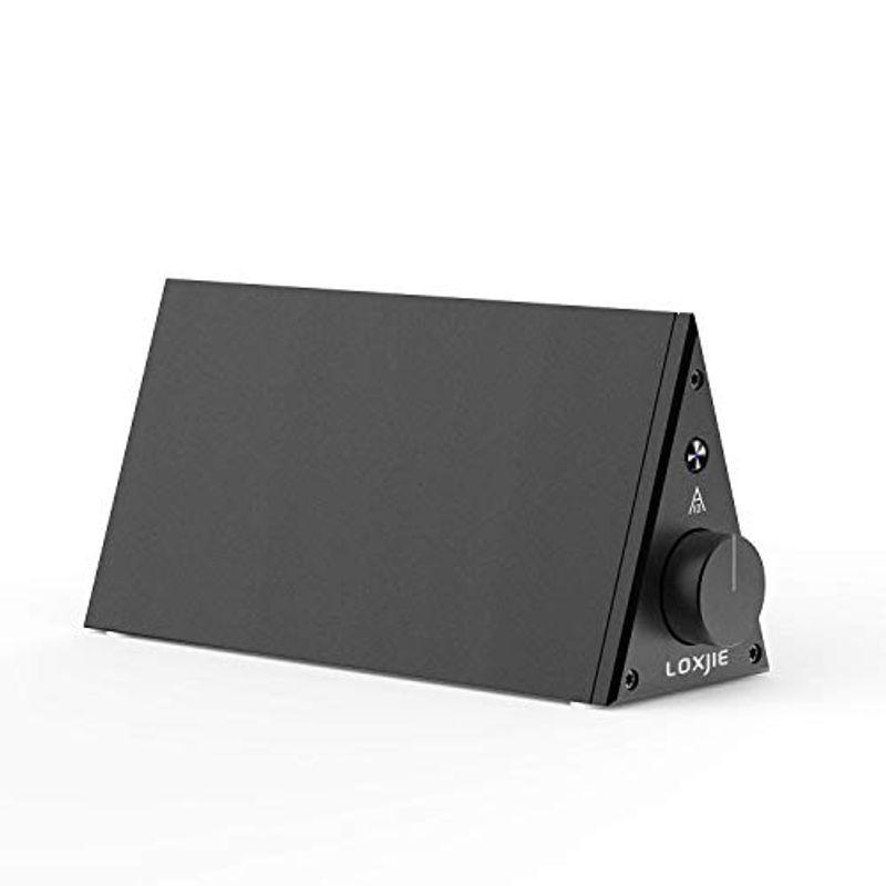 LOXJIE A10 パワーアンプ HI-FI ステレオ デジタルアンプ 60W＋60W大出力/高性能デジタルアンプIC：TPA3116搭載