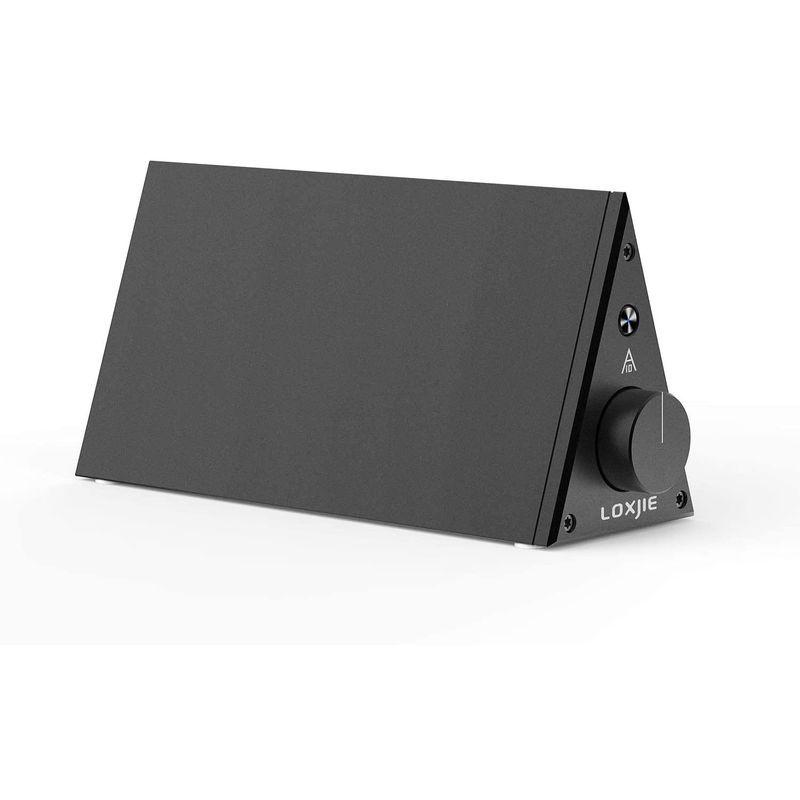 LOXJIE A10 パワーアンプ HI-FI ステレオ デジタルアンプ 60W＋60W大出力/高性能デジタルアンプIC：TPA3116搭載 A10 パワーアンプ HI FI ステレオ デジタルアンプ 60W＋60W大出力/高性能デジタルアンプIC：TPA3116搭載