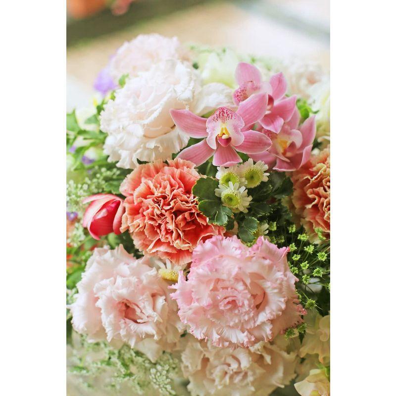 アレンジメントフラワー 生花 ギフト LLサイズ イメージ(可愛い)大臣賞受賞デザイナー おまかせアレンジメント イメージ 生花 ギフト LLサイズ 可愛い 大臣賞受賞デザイナー おまかせアレンジメント 　 サイズ