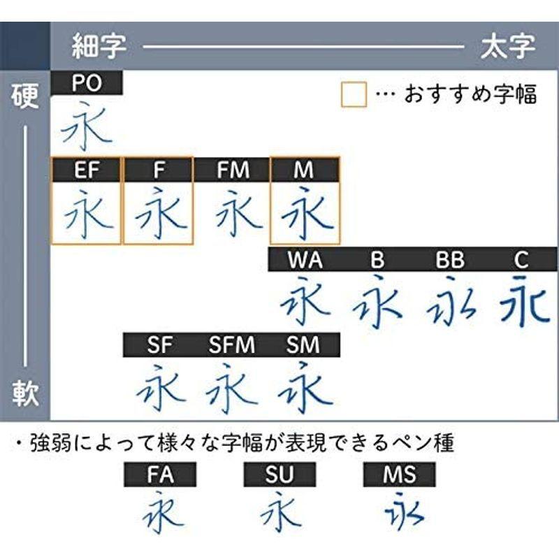 パイロットノック式万年筆 キャップレス デシモ グレー FCTL-2MR-GYF 細字(F) 限定カラー PILOT キャップレス デシモ グレー FCTL 2MR GYF 細字 限定カラー PILOT 　