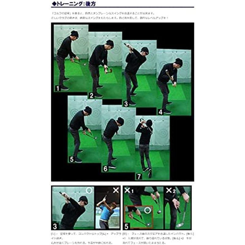 ゴルフ練習器具『ゴルフの竪琴』トッププロも使用中 正しいスイングプレーンが身につく マーク金井プロデュース 室内練習もできるゴルフ上達 ゴル 正しいスイングプレーンが身につく マーク金井プロデュース 室内練習もできるゴルフ上達 ゴル サイズ