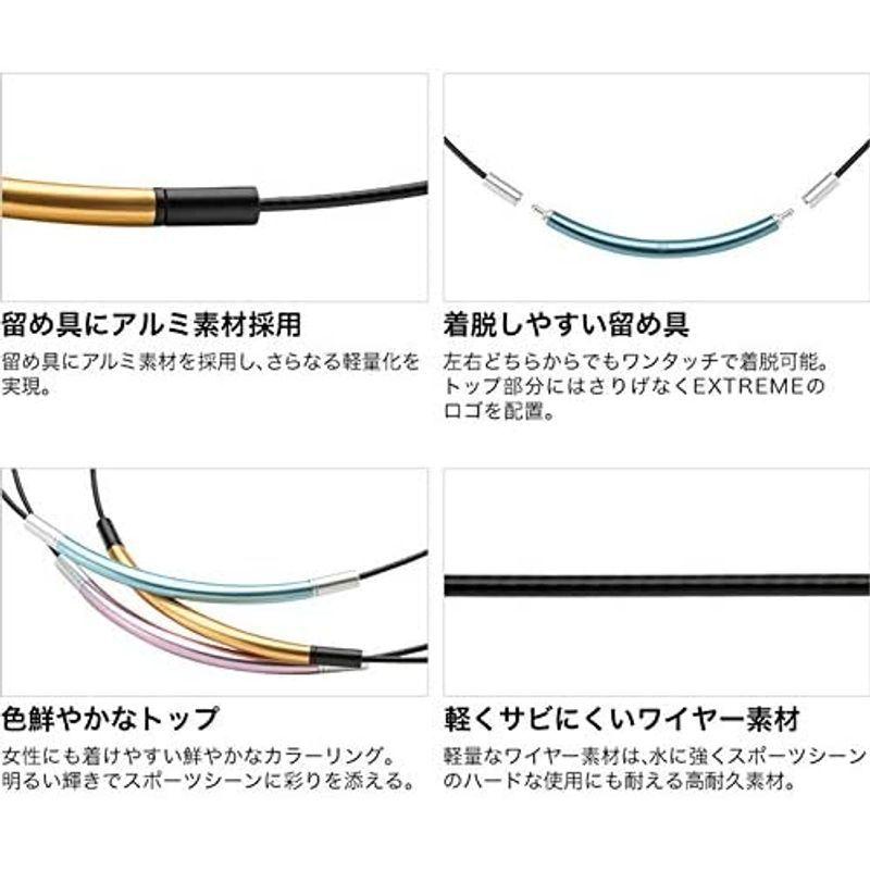 phiten(ファイテン) ネックレス RAKUWAネック ワイヤー EXTREME ラウンド ブルー/シルバー 50cm ブルー/シルバー ファイテン ネックレス RAKUWAネック ワイヤー EXTREME ラウンド 50cm サイズ