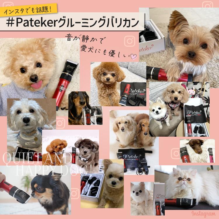 ペットバリカン Pateker 正規代理店  替刃つき  犬 猫  ペットの全身の毛をプロの仕上がりに グルーミング｜selectshopcrea｜04