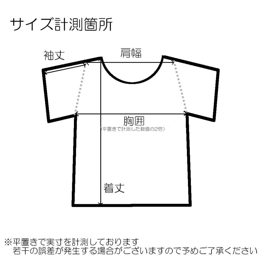 A.P.C. アーペーセー Tシャツ MORAN T-SHIRT COGAF H26245 メンズ