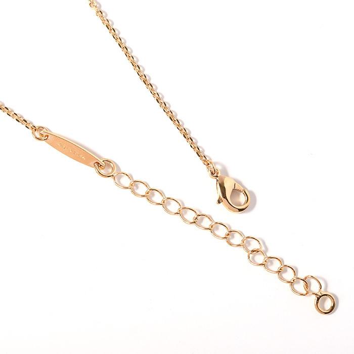 FERRAGAMO（フェラガモ） アクセサリー ガンチーニ クリスタル