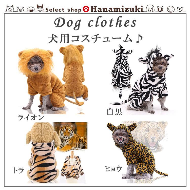 犬 服 ライオン 動物 犬の服 着せやすい 小型犬 : Select shop