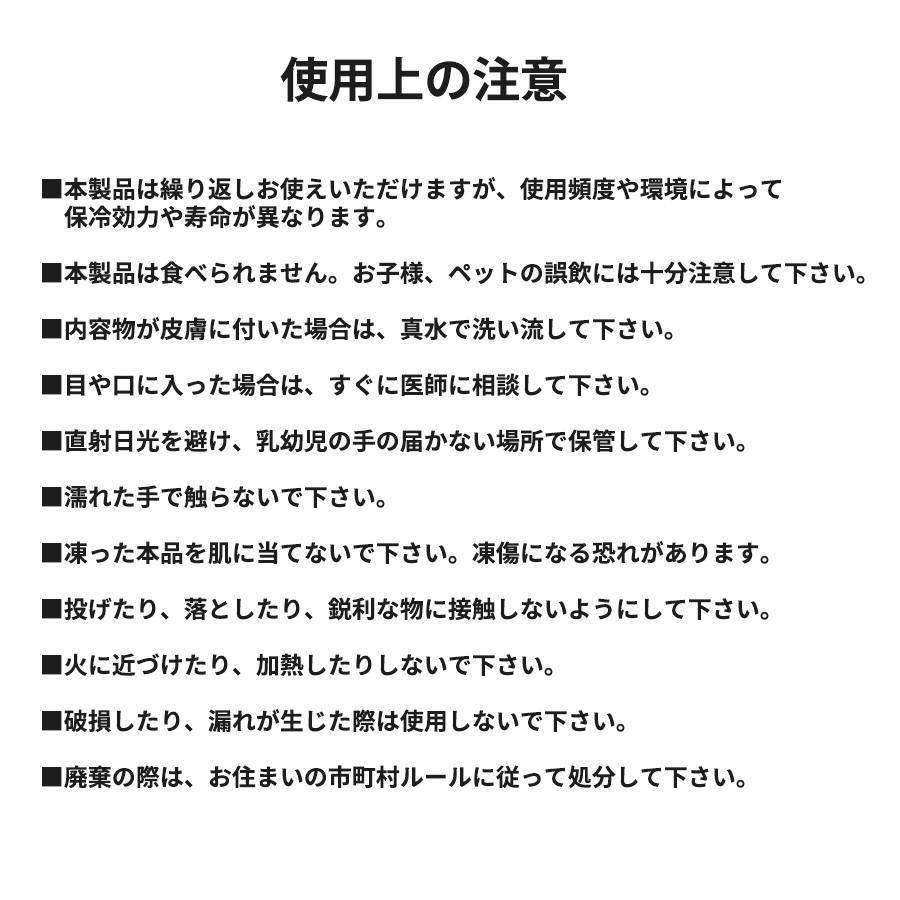 COOLER SHOCK Sサイズ 単品 (クーラーショック) 保冷剤 予冷約8時間 繰り返し使用可 キャンプ 釣り 小クーラーボックス用 | COOLER SHOCK | 05