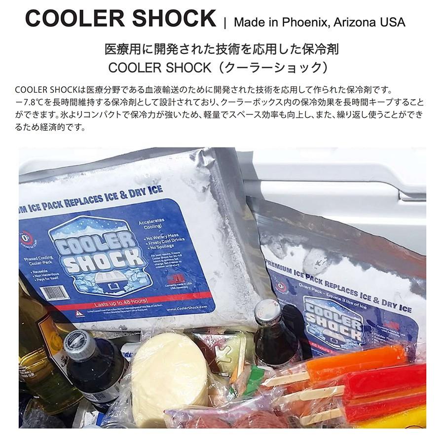 COOLER SHOCK Sサイズ 5個セット(クーラーショック) 保冷剤 予冷約8時間 キャンプ 釣り レジャー 小クーラーボックス お弁当の保冷剤｜selectshopmu｜02