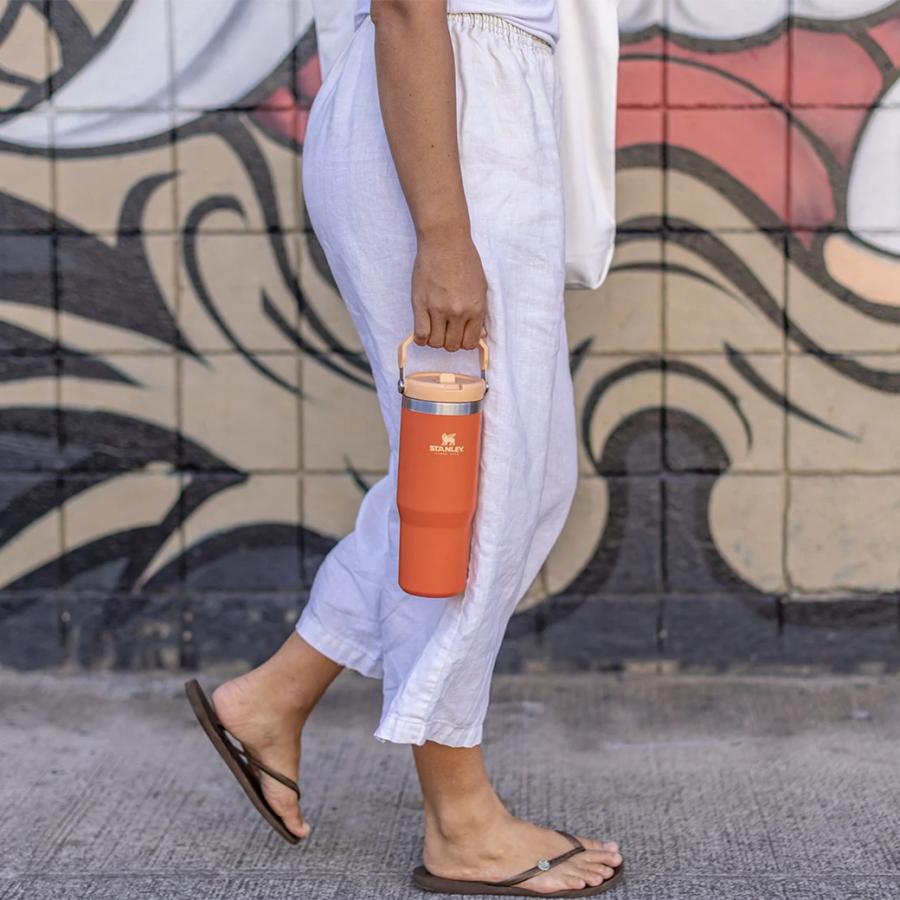 CLASSIC SERIES（STANLEY） STANLEY スタンレー アイスフローフリップ