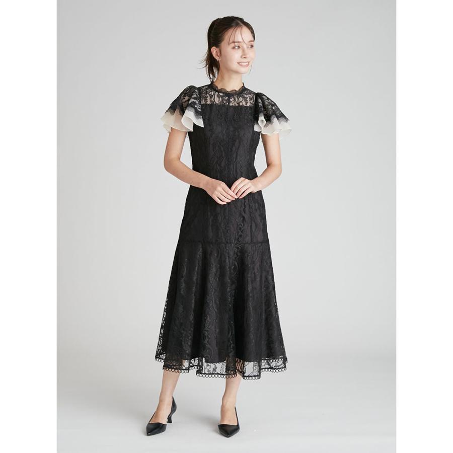 フォースオブウィル　FOW 英語　8枚　セット　SR MR 並行輸入品】リープフロッグ 回して歌おう アルファベットズー