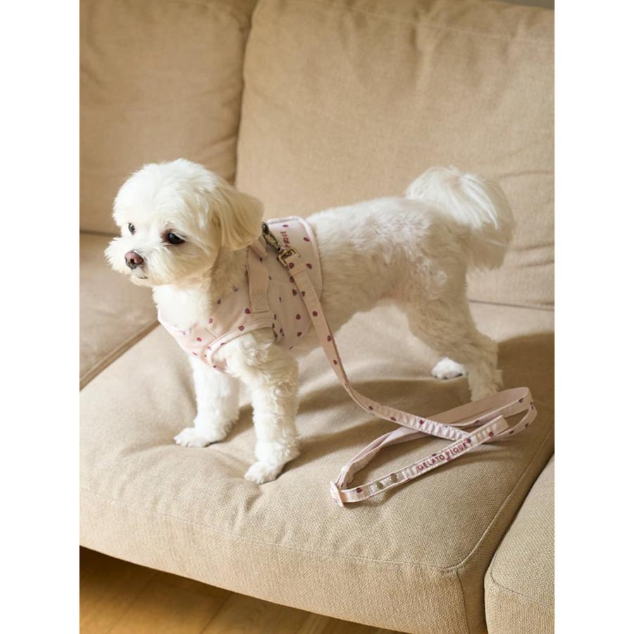 ジェラートピケ　モチーフ柄ハーネス＆リード gelato piqueモチーフ柄ハーネス+リード CAT&DOG販路限定商品