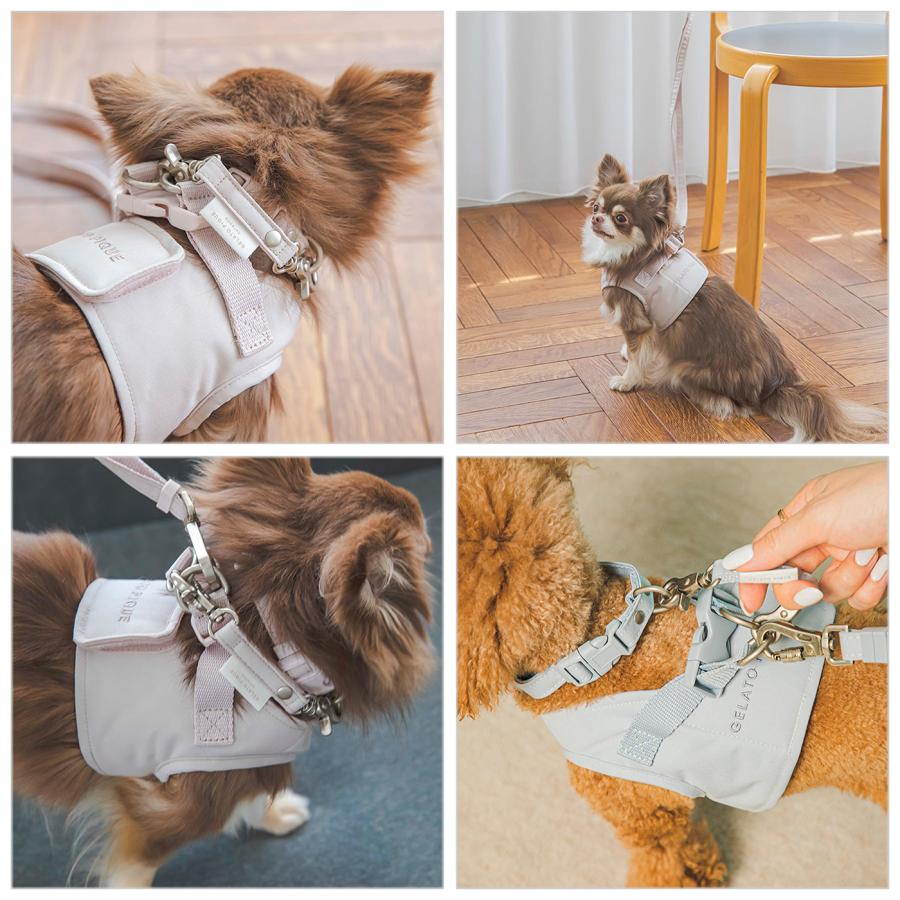 gelato pique（ジェラートピケ） CAT＆DOG ジョイント pagg232578 小型