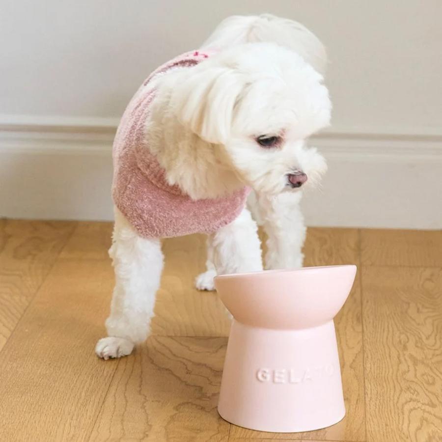 gelato pique（ジェラートピケ） CAT＆DOG ハイスタンドフードボウル