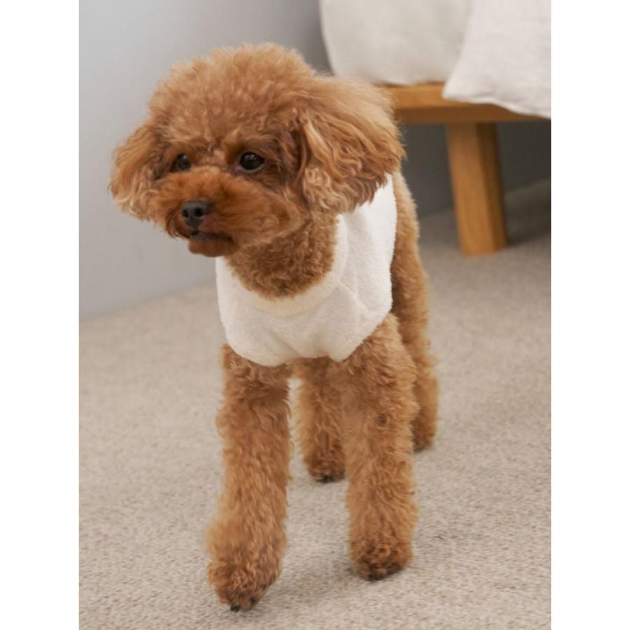 gelato pique（ジェラートピケ） CAT&DOG ベアジャガードプルオーバー