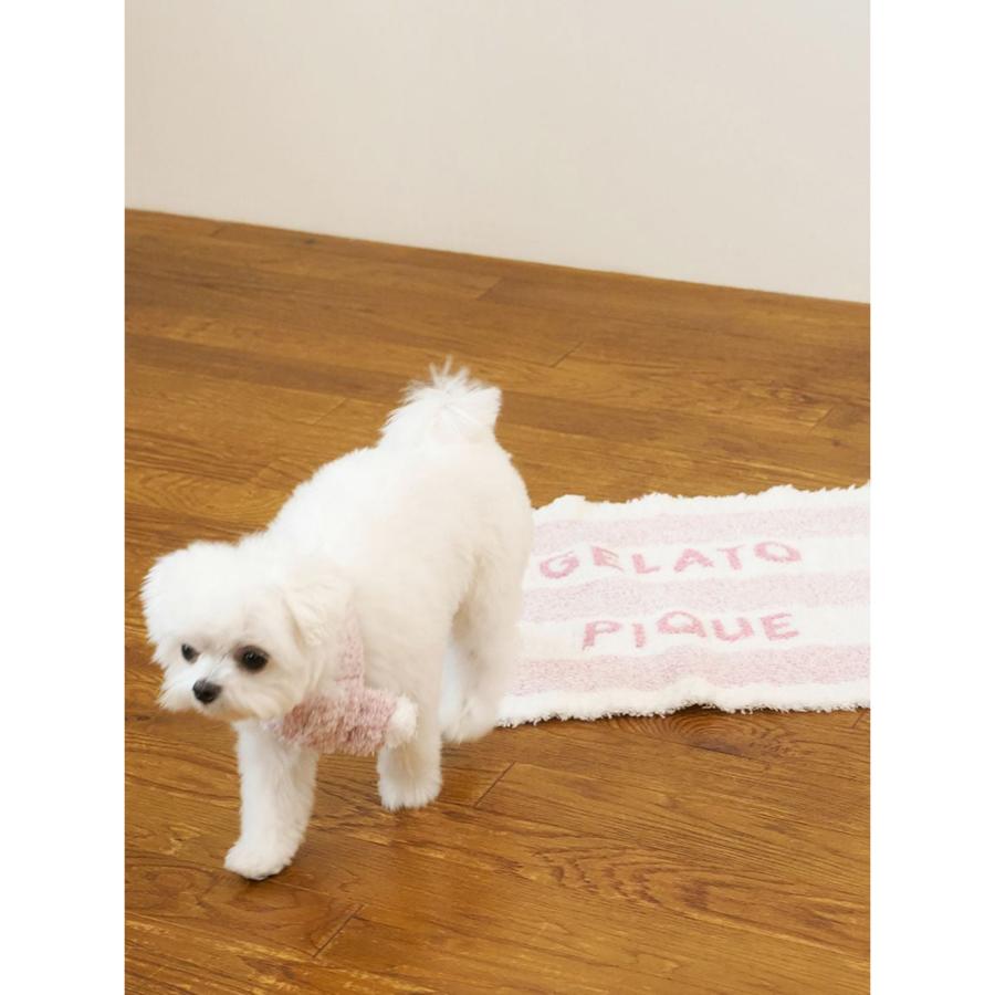 gelato pique（ジェラートピケ） CAT&DOG ジェラートメランジ2ボーダー