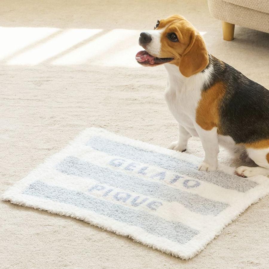 gelato pique ジェラートピケ CAT&DOG ジェラートメランジ2ボーダー