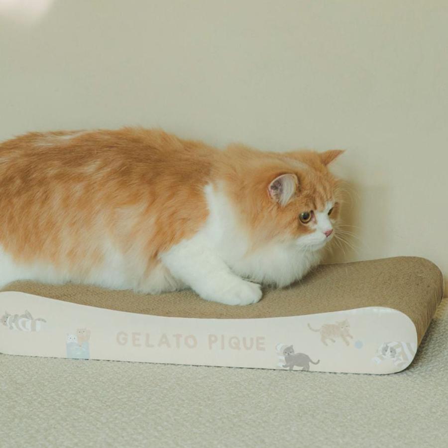 gelato pique（ジェラートピケ） CAT＆DOG ねこ柄つめとぎ pagg259038