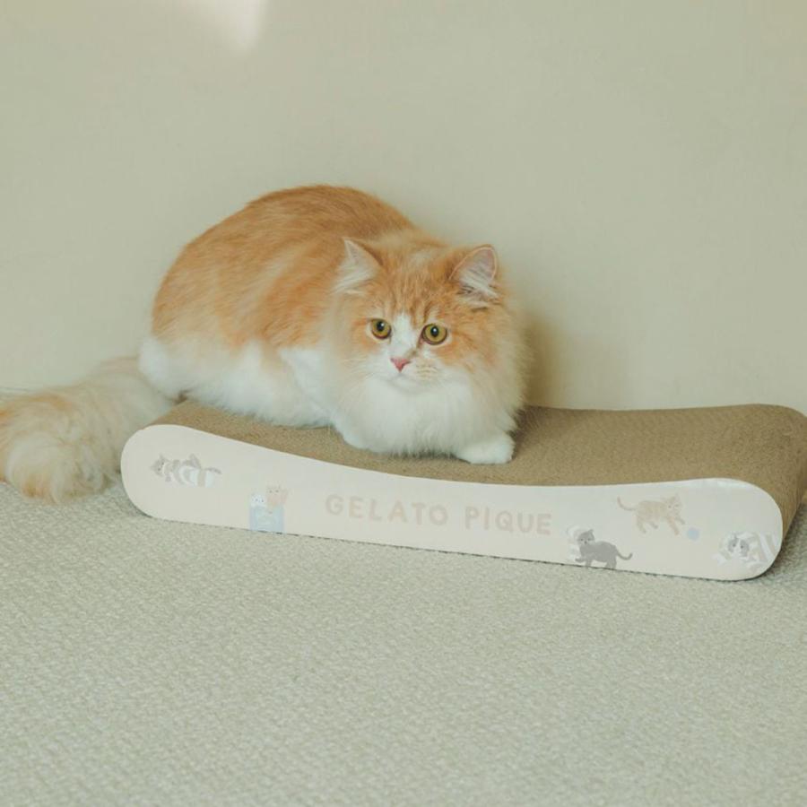 gelato pique（ジェラートピケ） CAT＆DOG ねこ柄つめとぎ pagg259038