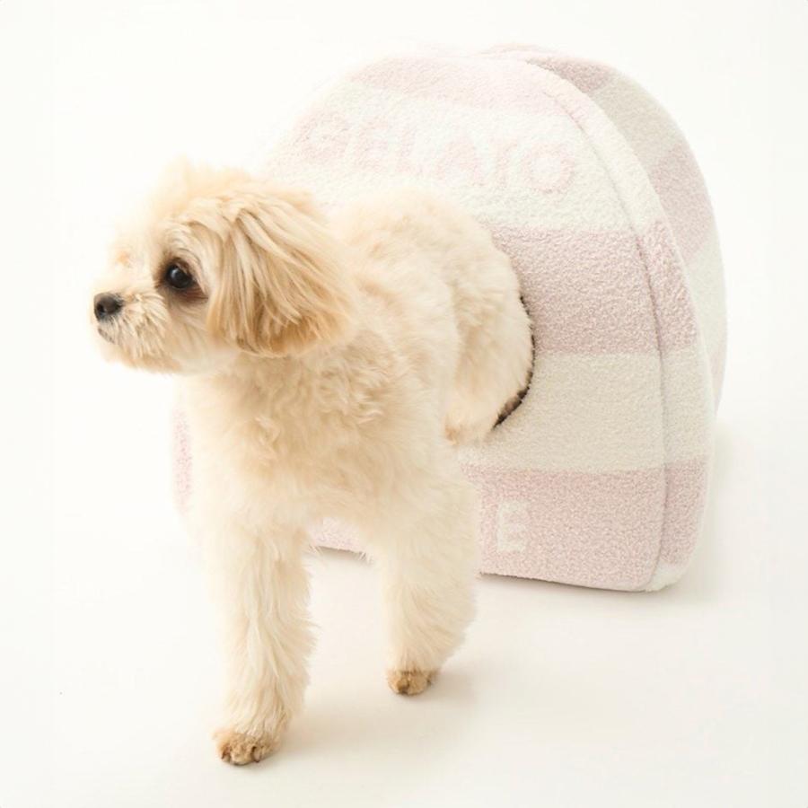 gelato pique ジェラートピケ CAT&DOG 販路限定商品 ベビ