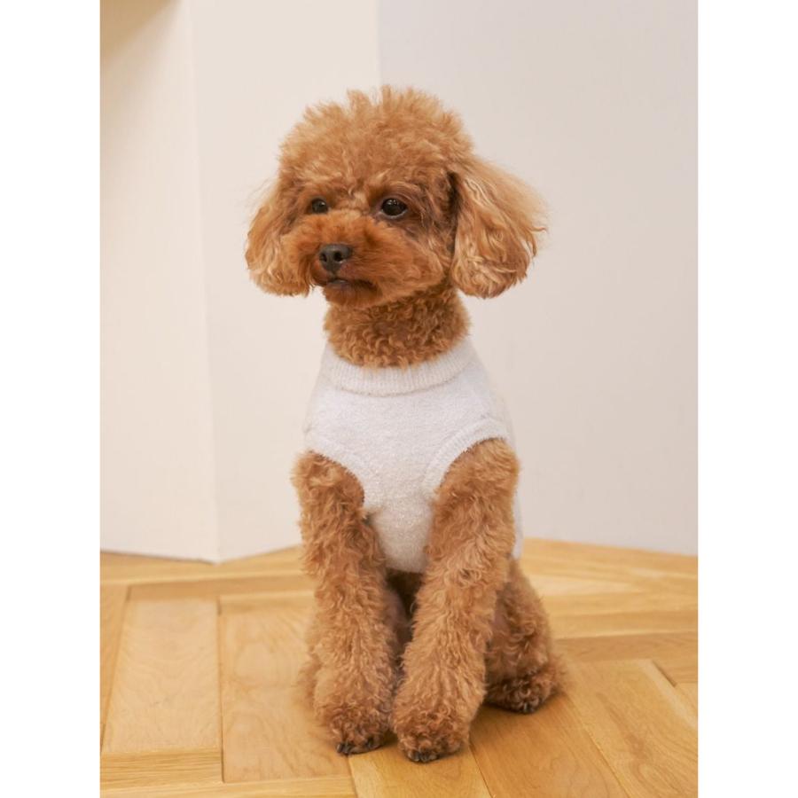 ジェラートピケ DOG 犬 ジャックラッセルテリア ルームウェア 上下 新品 ジェラートピケ DOG 犬 ジャックラッセルテリア ルームウェア