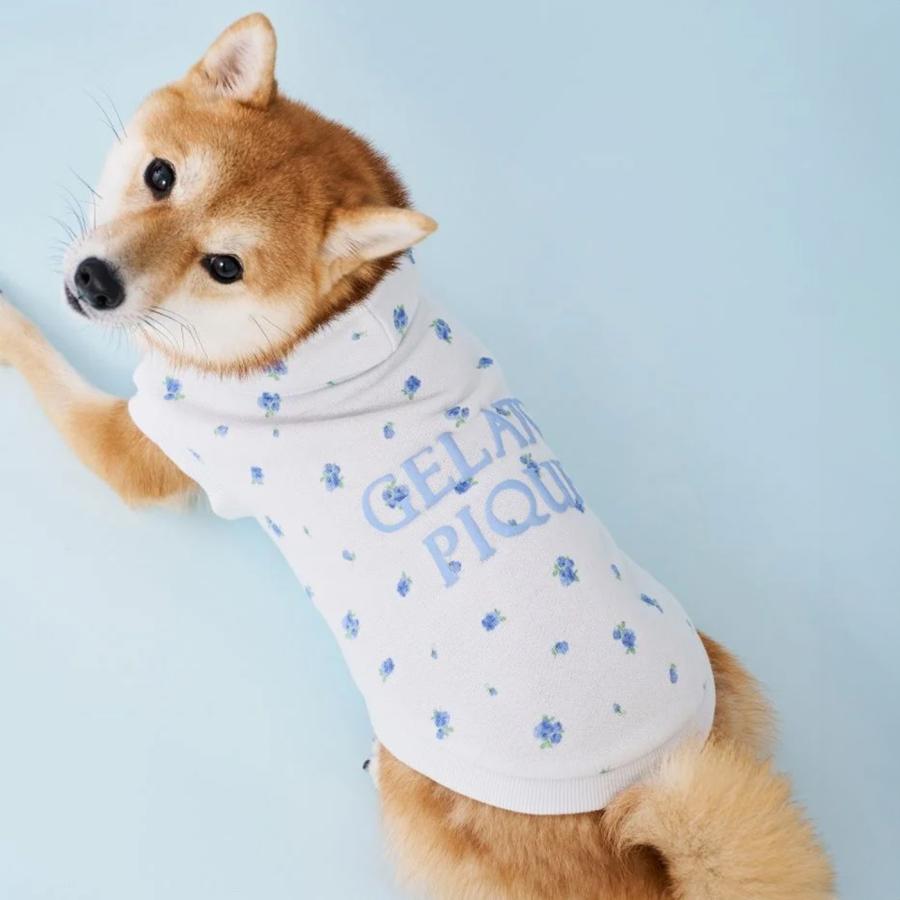 gelato pique（ジェラートピケ） gelato pique CAT&DOG フラワー柄裏毛