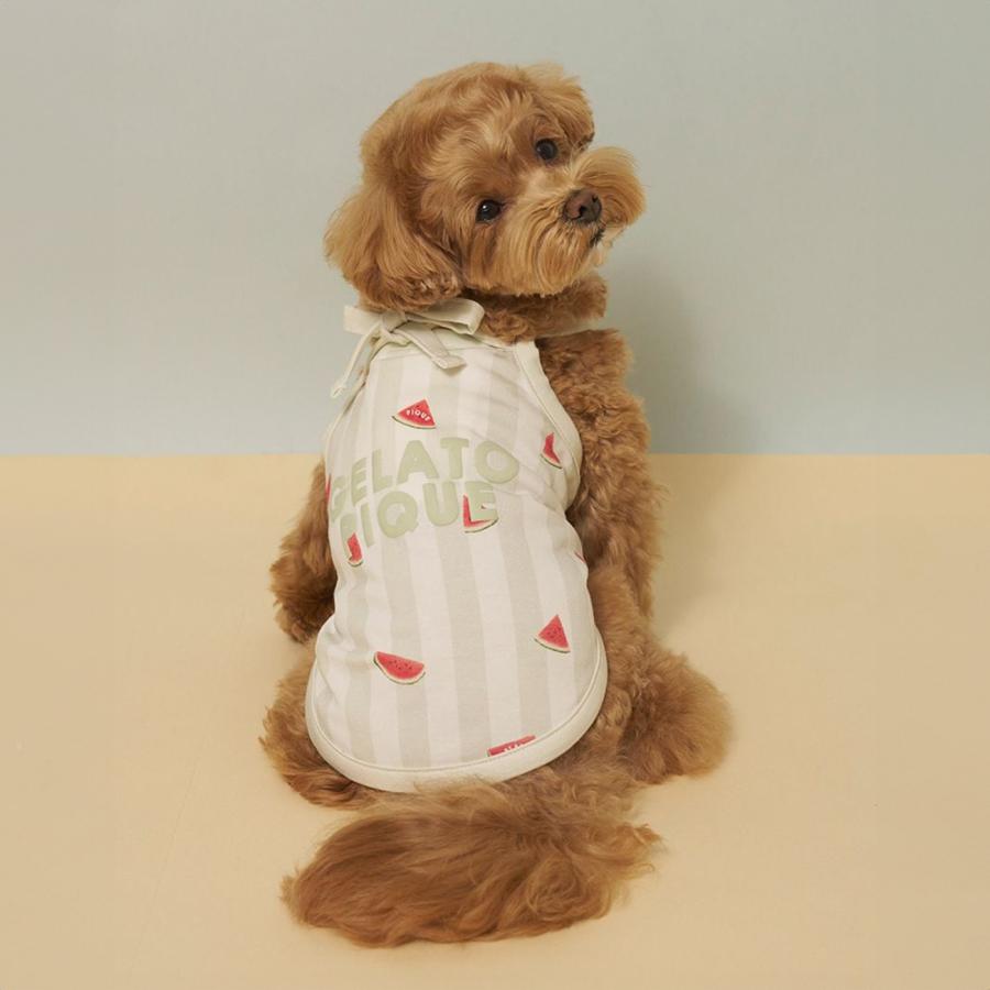 gelato pique（ジェラートピケ） CAT&DOG 接触冷感 ストライプ柄