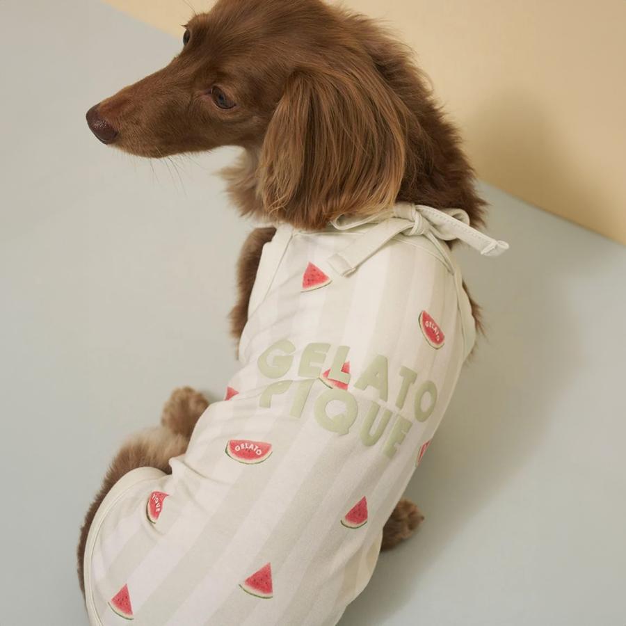 gelato pique（ジェラートピケ） CAT&DOG 接触冷感 ダックスフンド